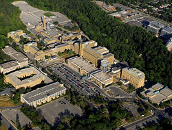 Sunnybrook Hospital